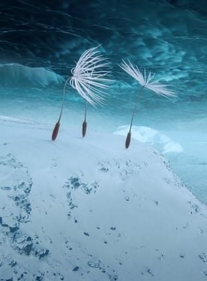 Planètes
